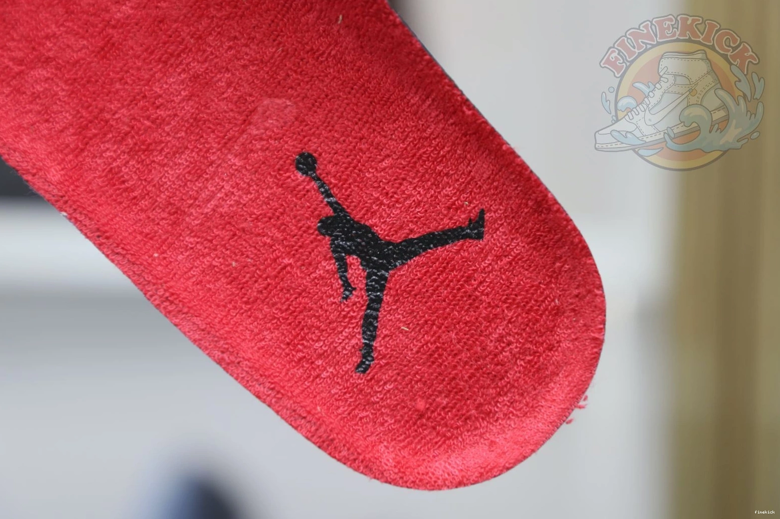 Jordan4 Air RetroToro Jordan Bravo 0802